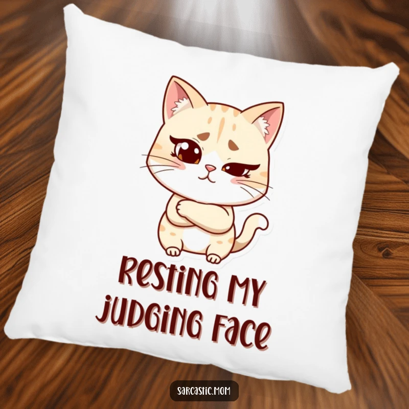 Funny cat mom pillow showing a woman with a raised eyebrow and crossed arms, offering plush comfort and judgmental humor.